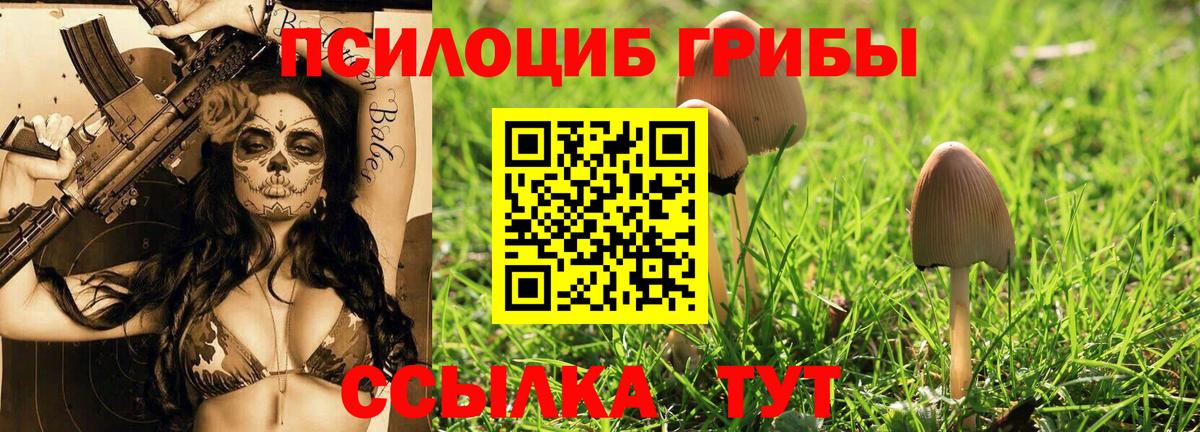 Муравленко  Галлюциногенные грибы Psilocybine cubensis  Галлюциногенные грибы мухоморы  Вход с VPN 