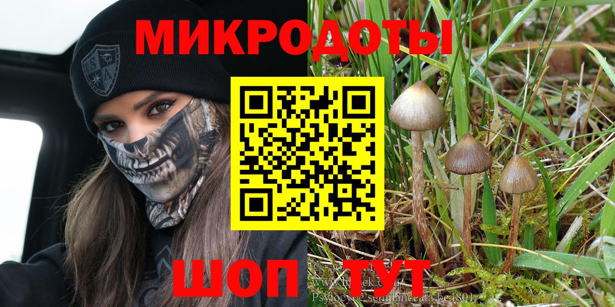 Псилоцибиновые грибы Psilocybine cubensis Муравленко